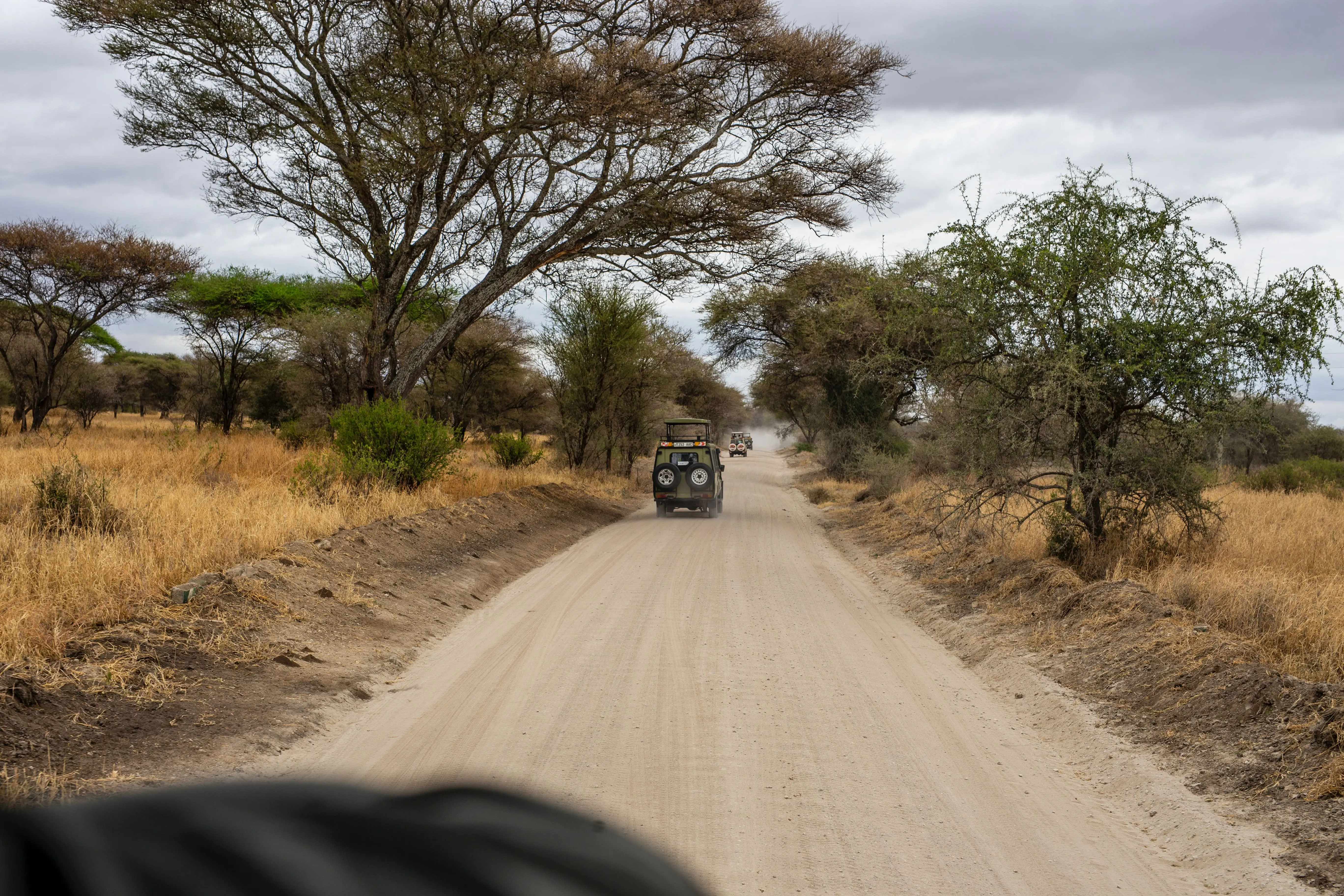 safaris-kenya