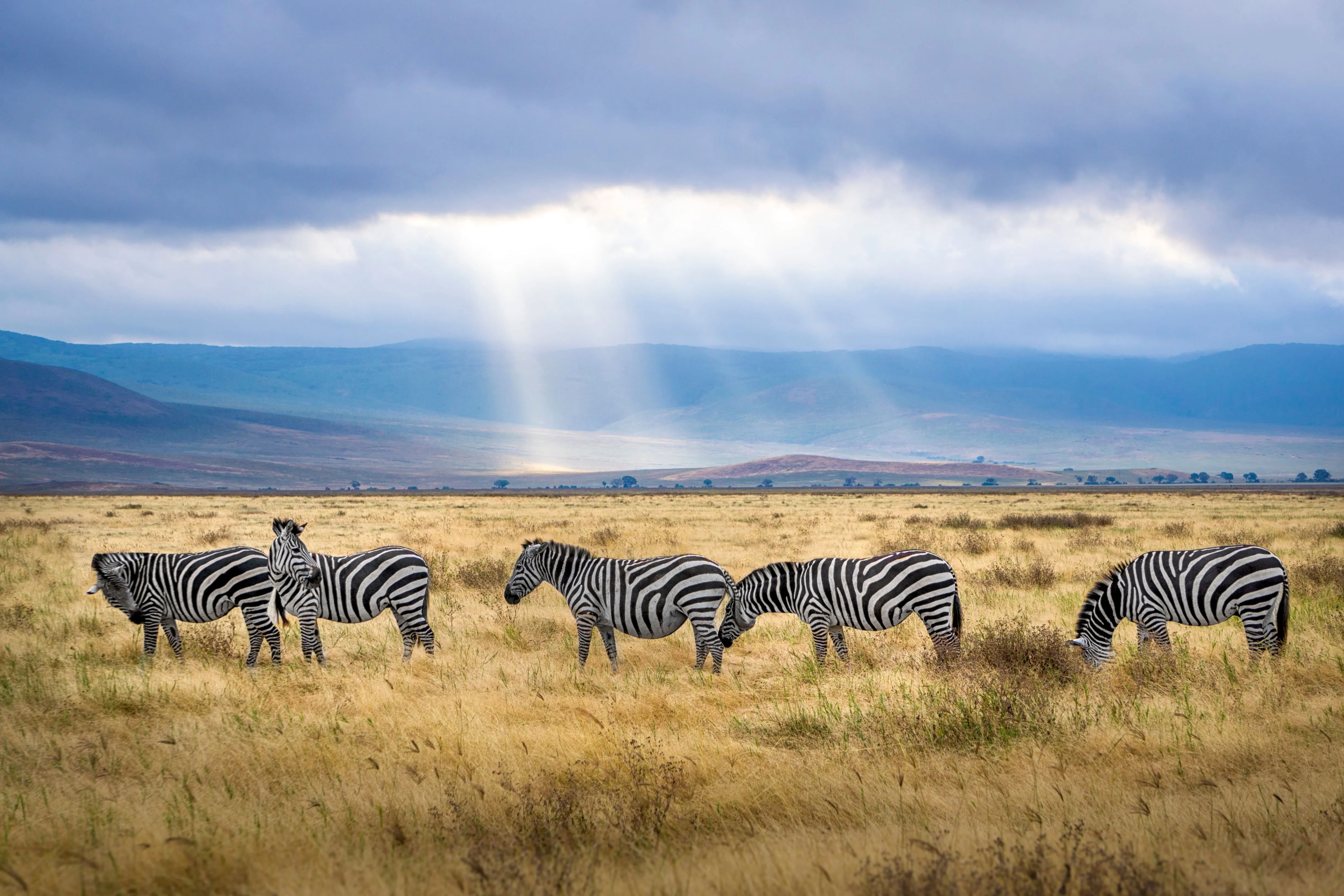 arusha-tanzania
