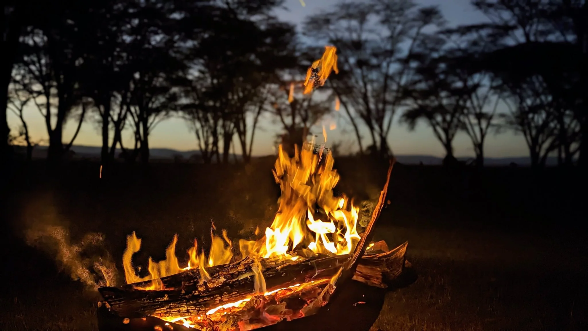 camping-fire
