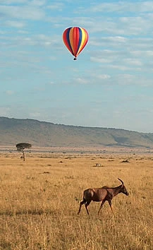hot-air-balloon
