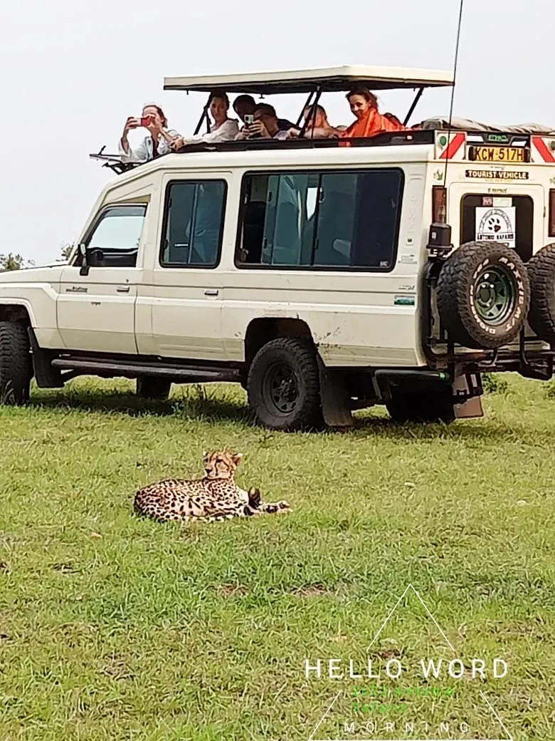 Landcruiser