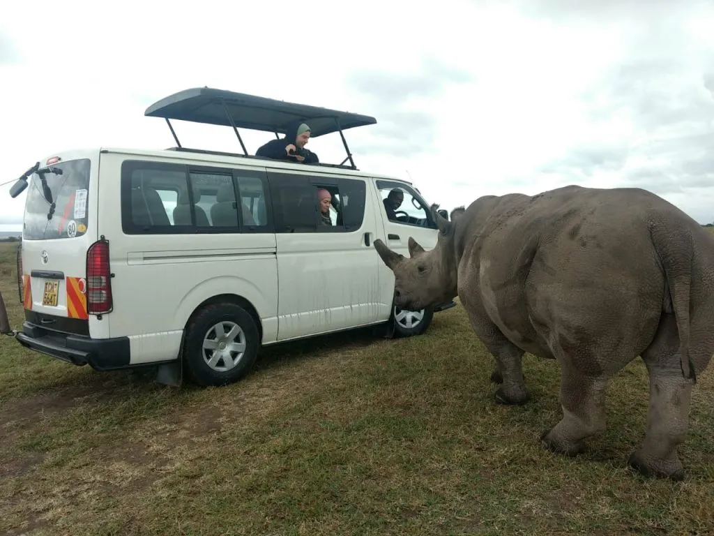 safari-van