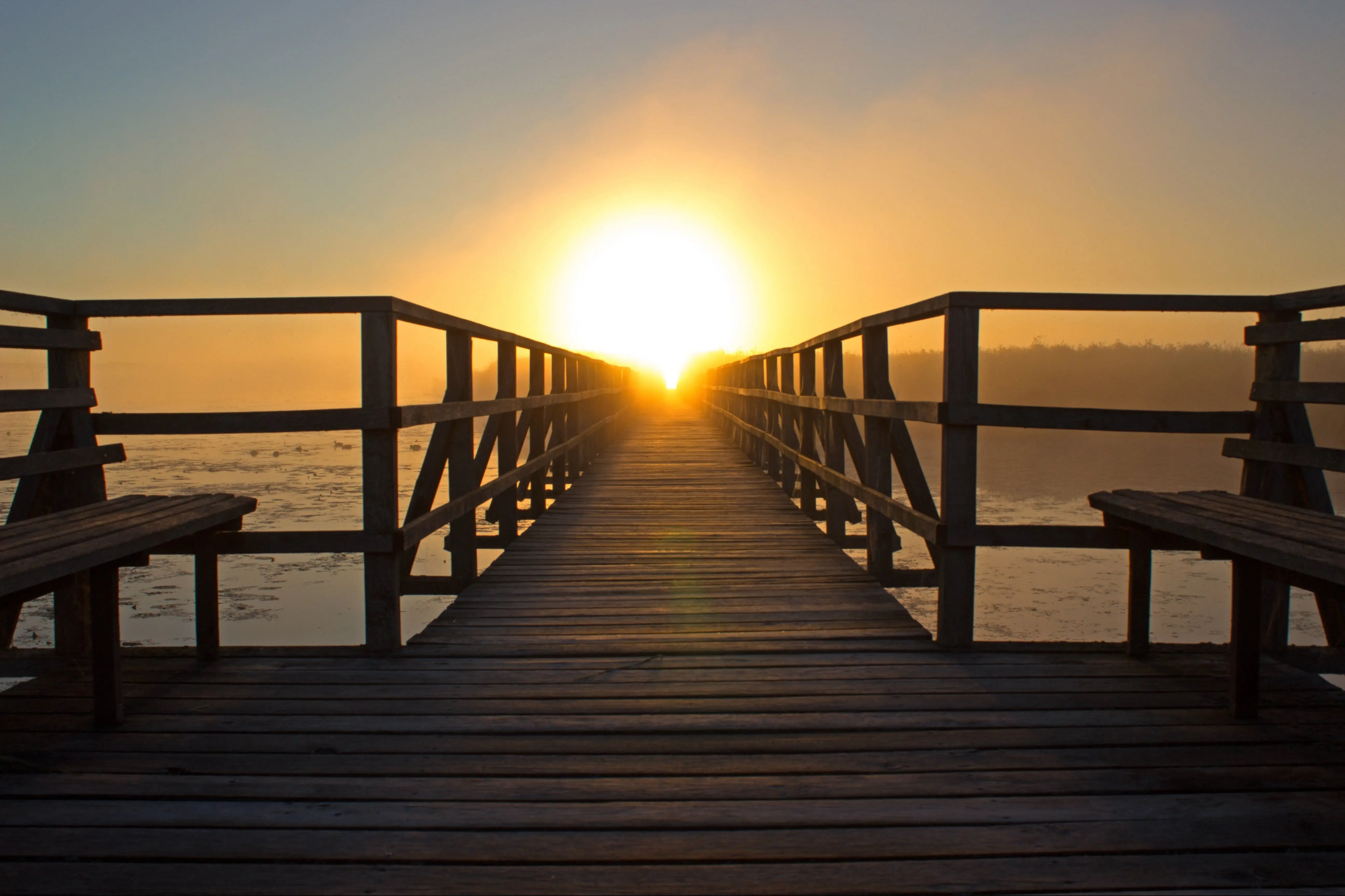 sunrise