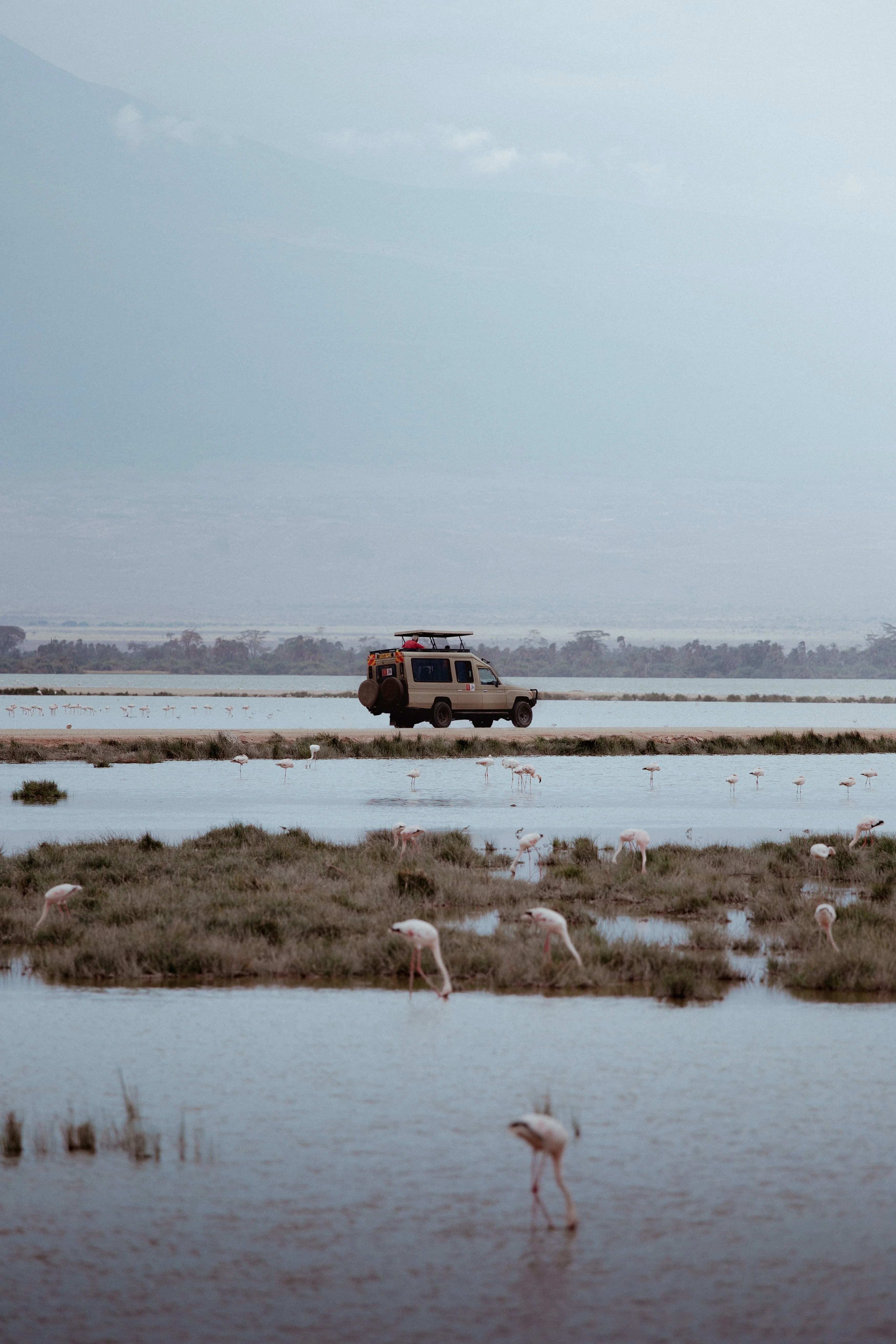 tour-vehicle