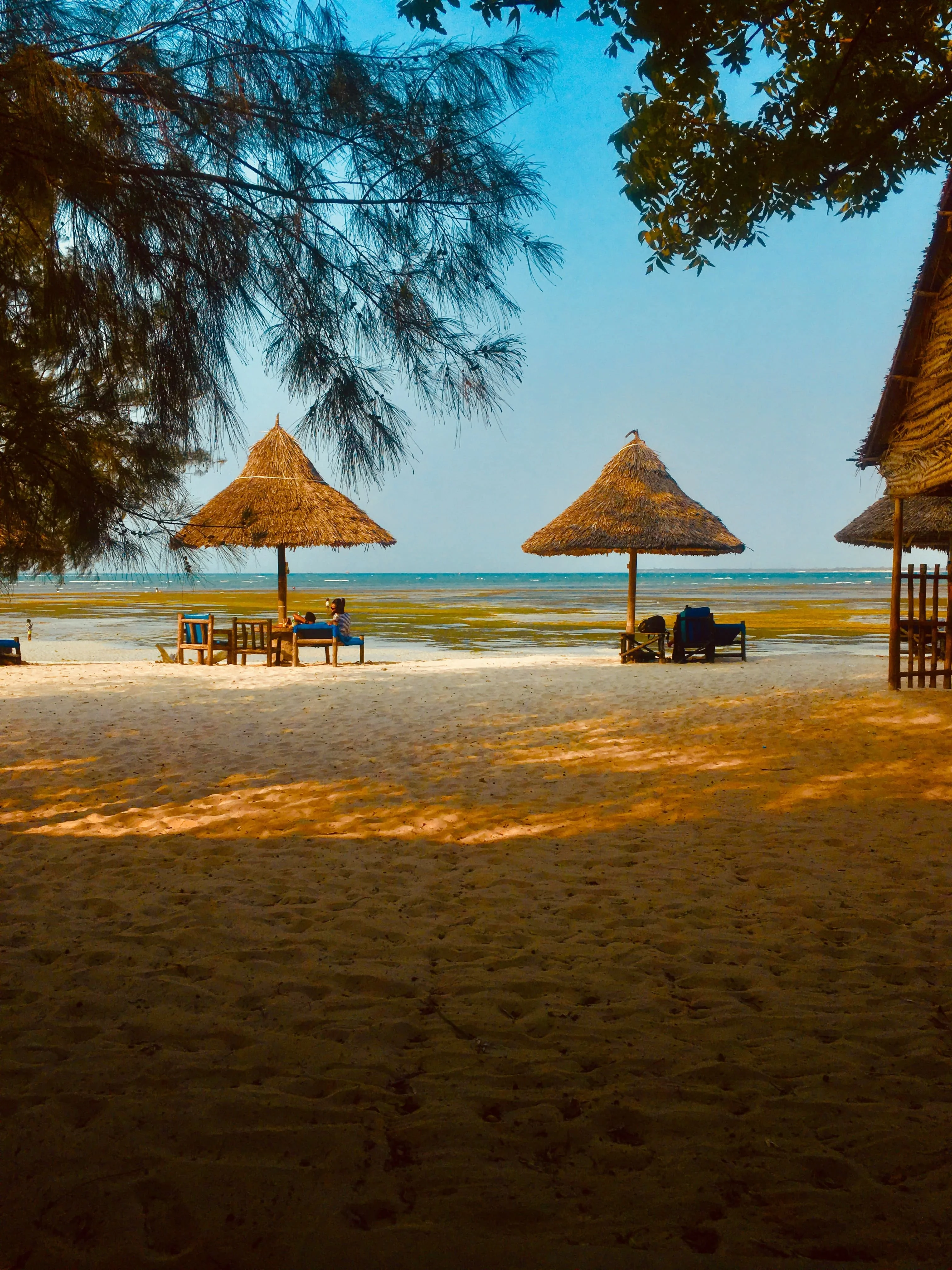 zanzibar